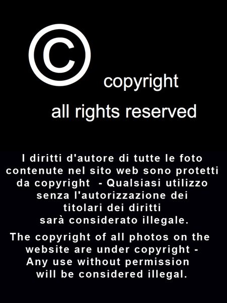 FFF_copyright_2_1_web