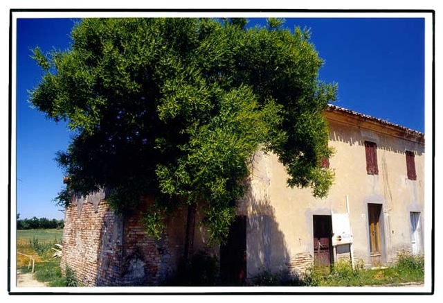 FELLINI_Casa dei Bisnonni a Gambettola_002